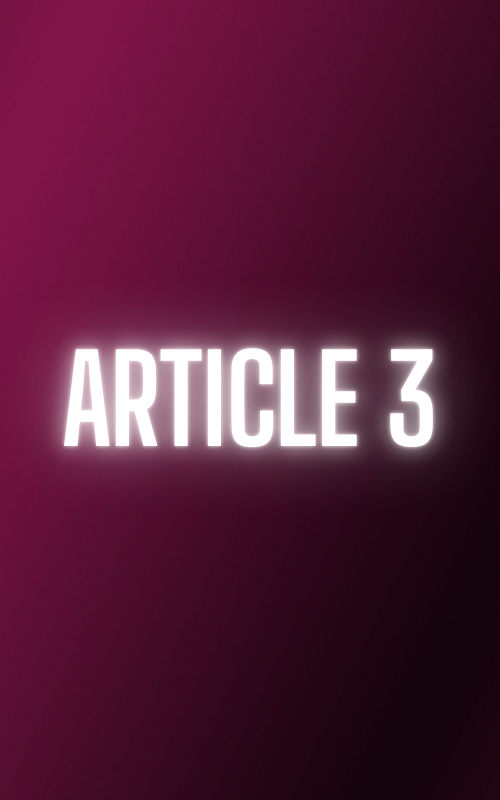 Article 3